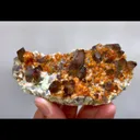 specimen video