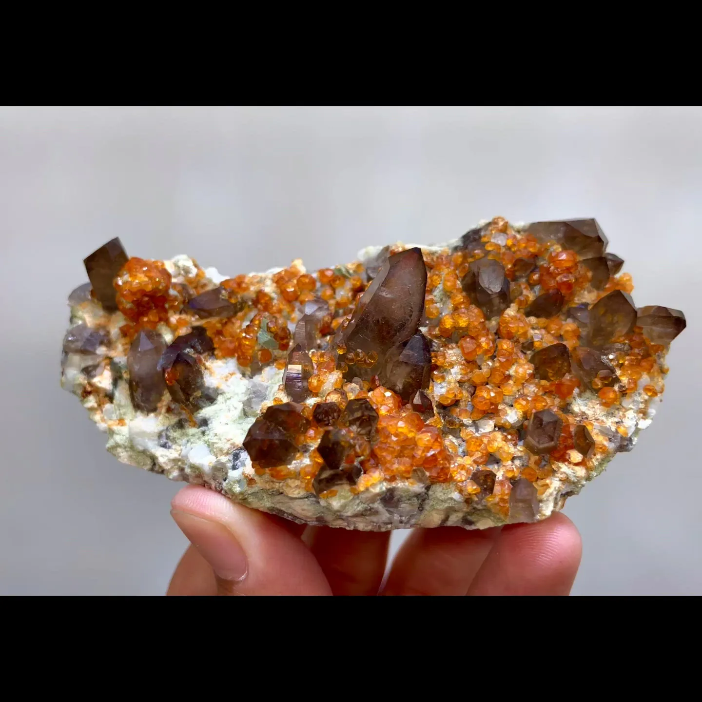 specimen video