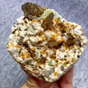 specimen video