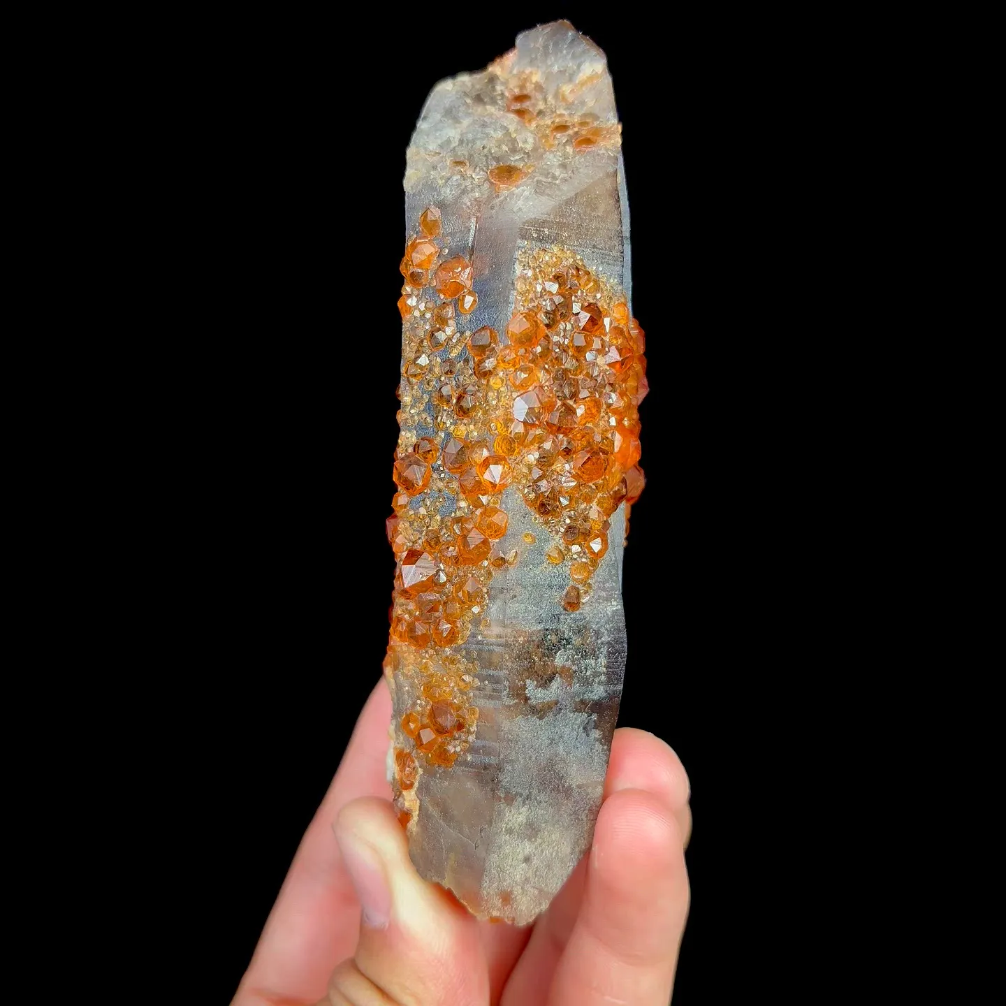 specimen video