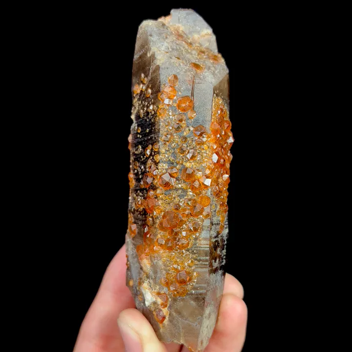 Natural Garnet and Smoky Quartz Tower, Mineral Specimen:Fujian,China (40*120*35MM) image