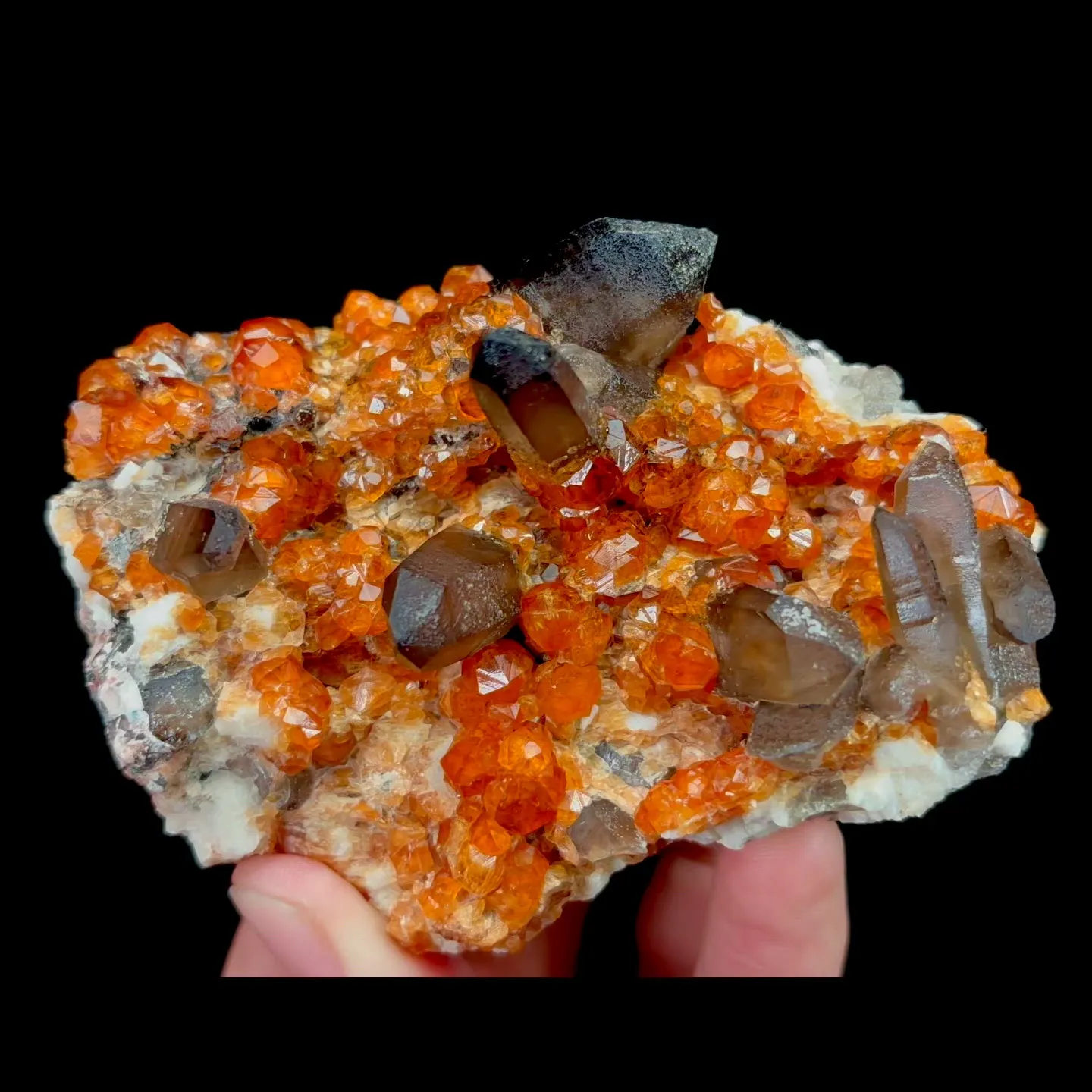 specimen video