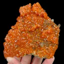 specimen video