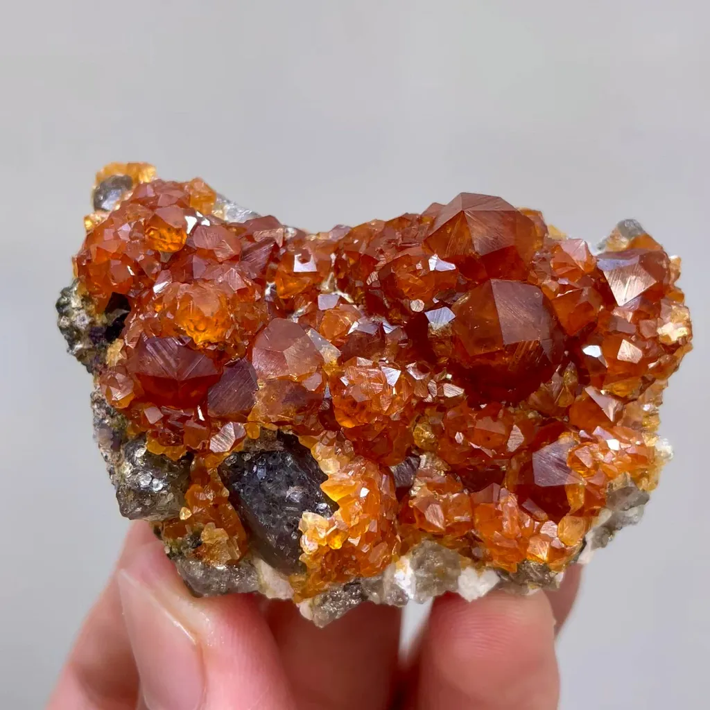 specimen video
