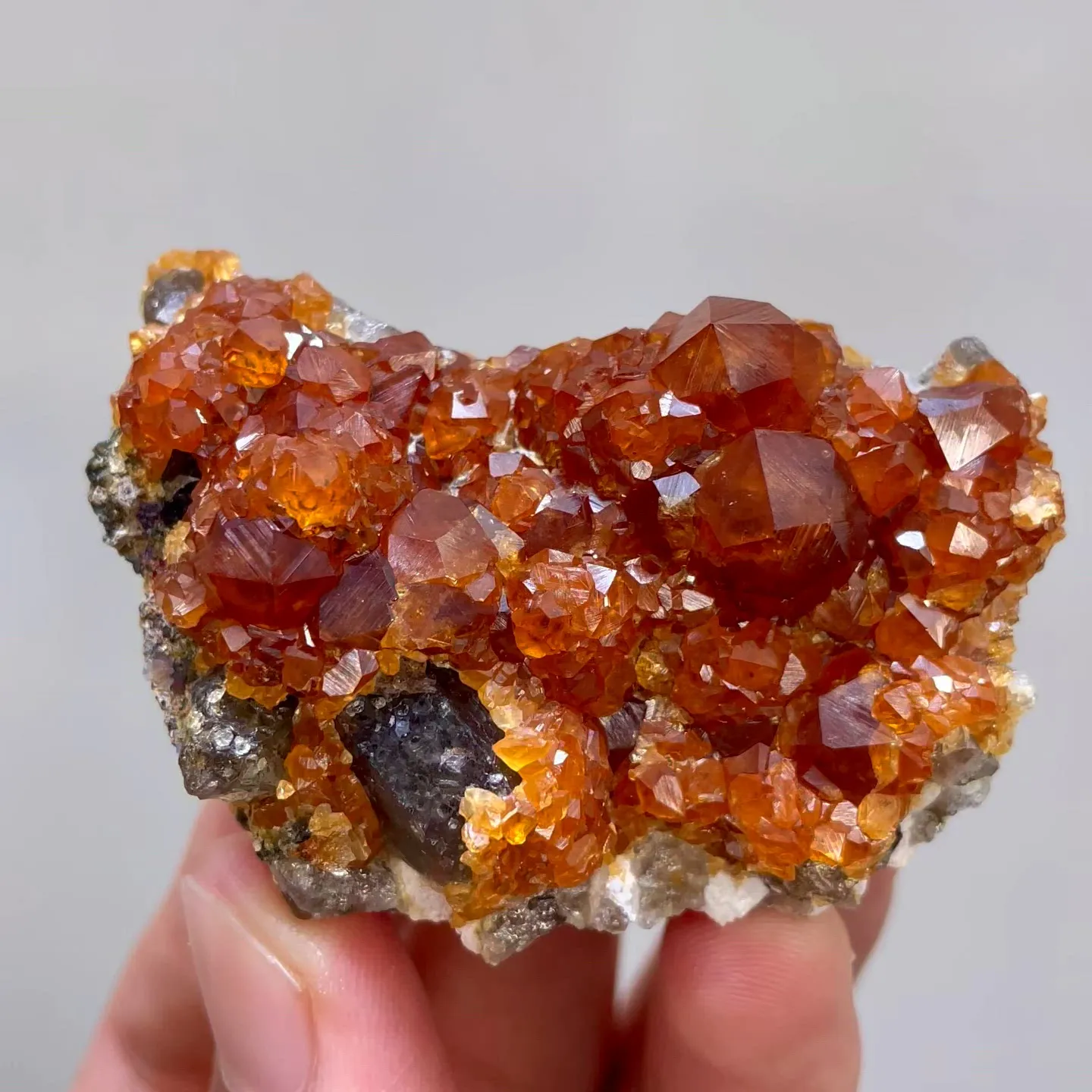 specimen video