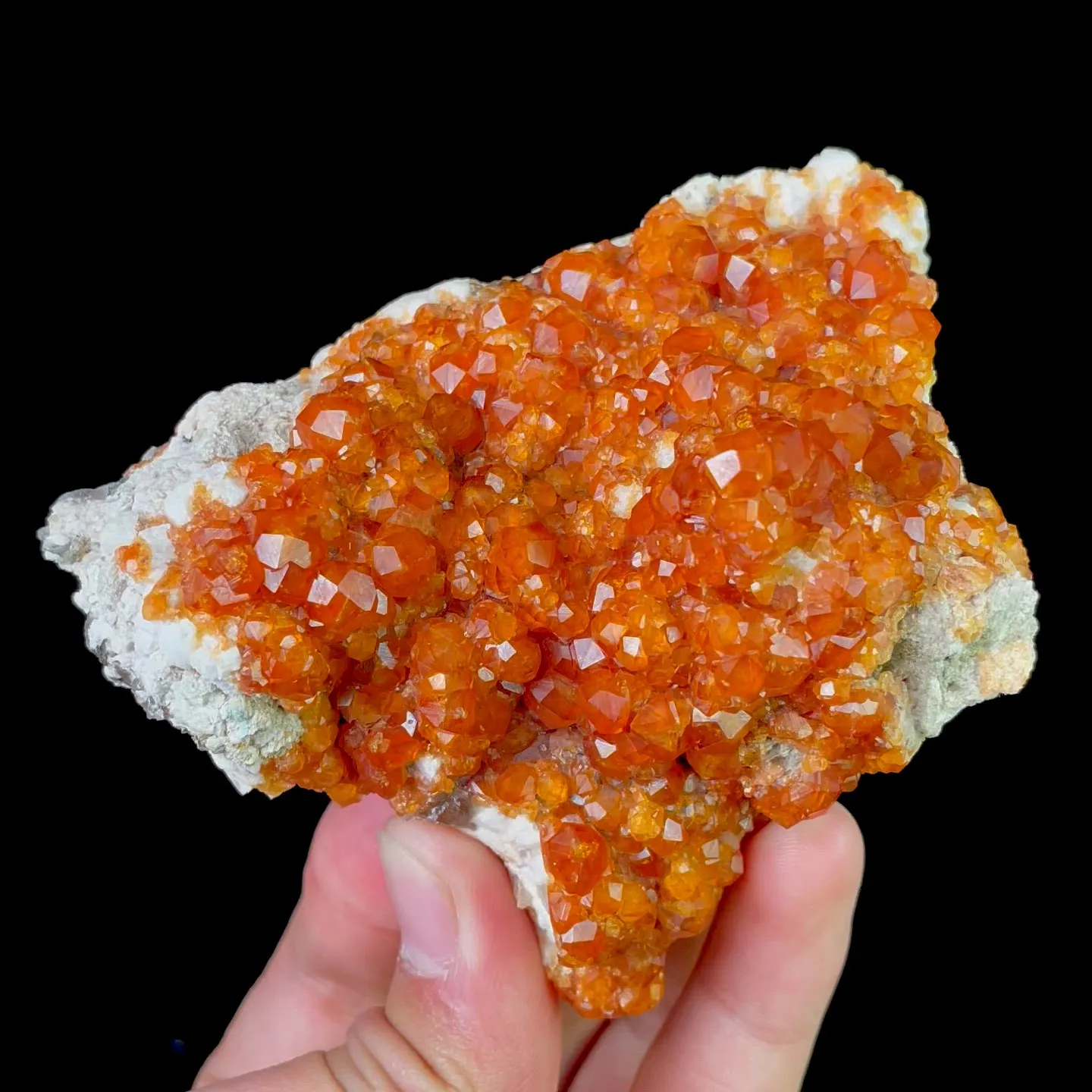 specimen video