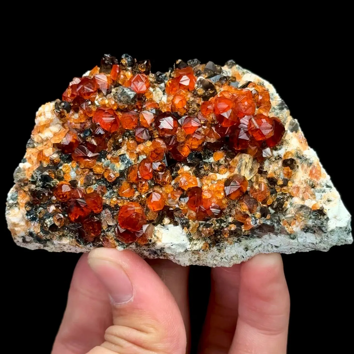 specimen video