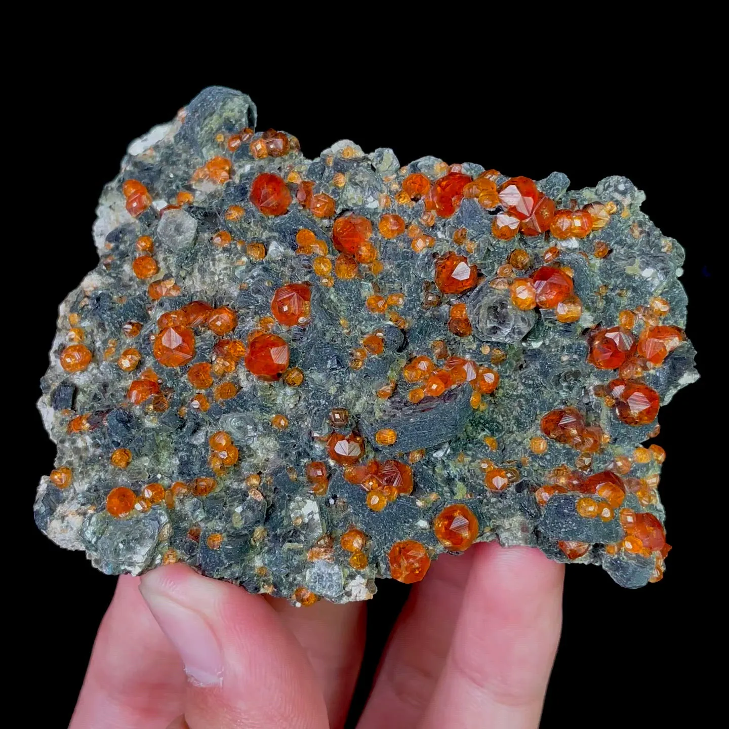 specimen video