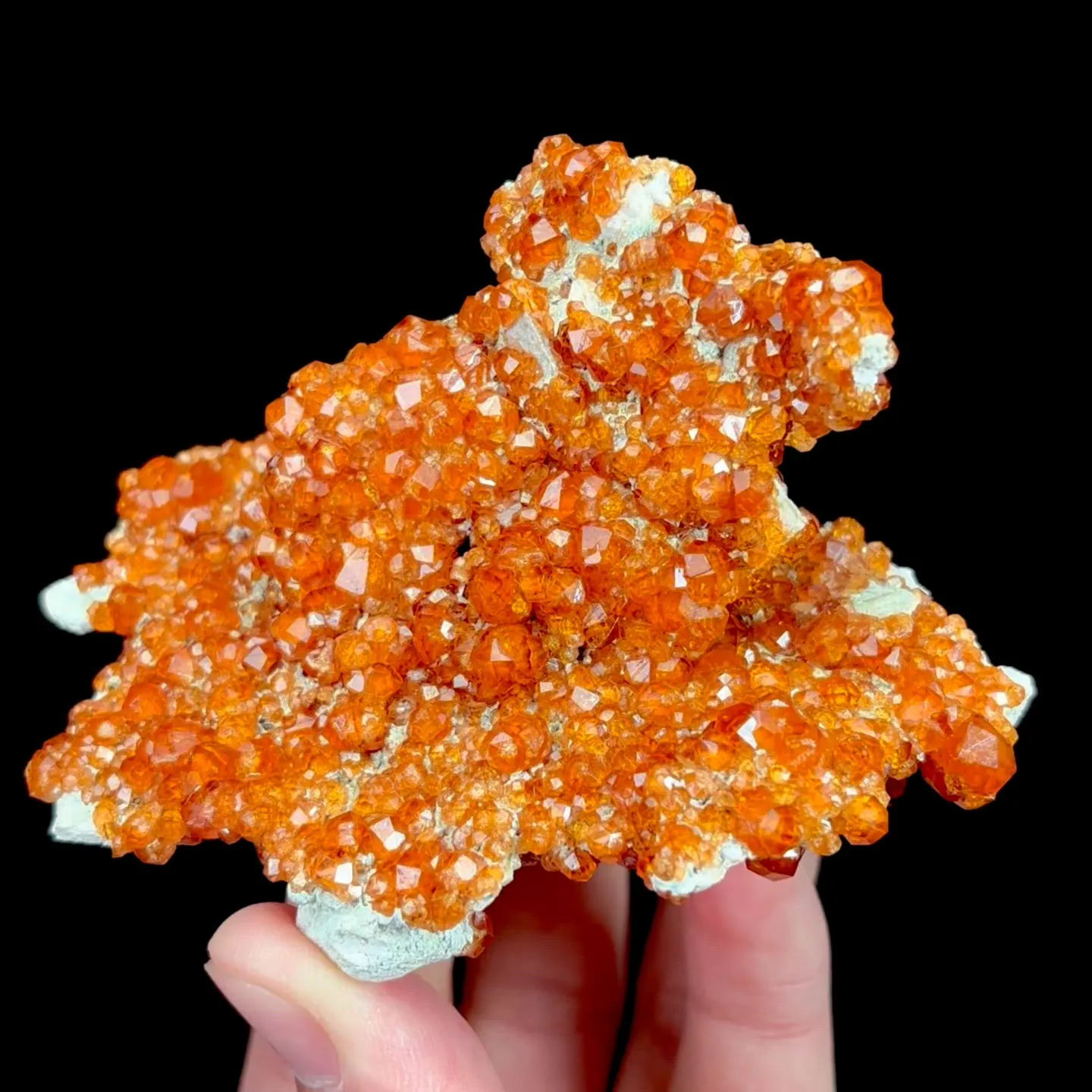 specimen video