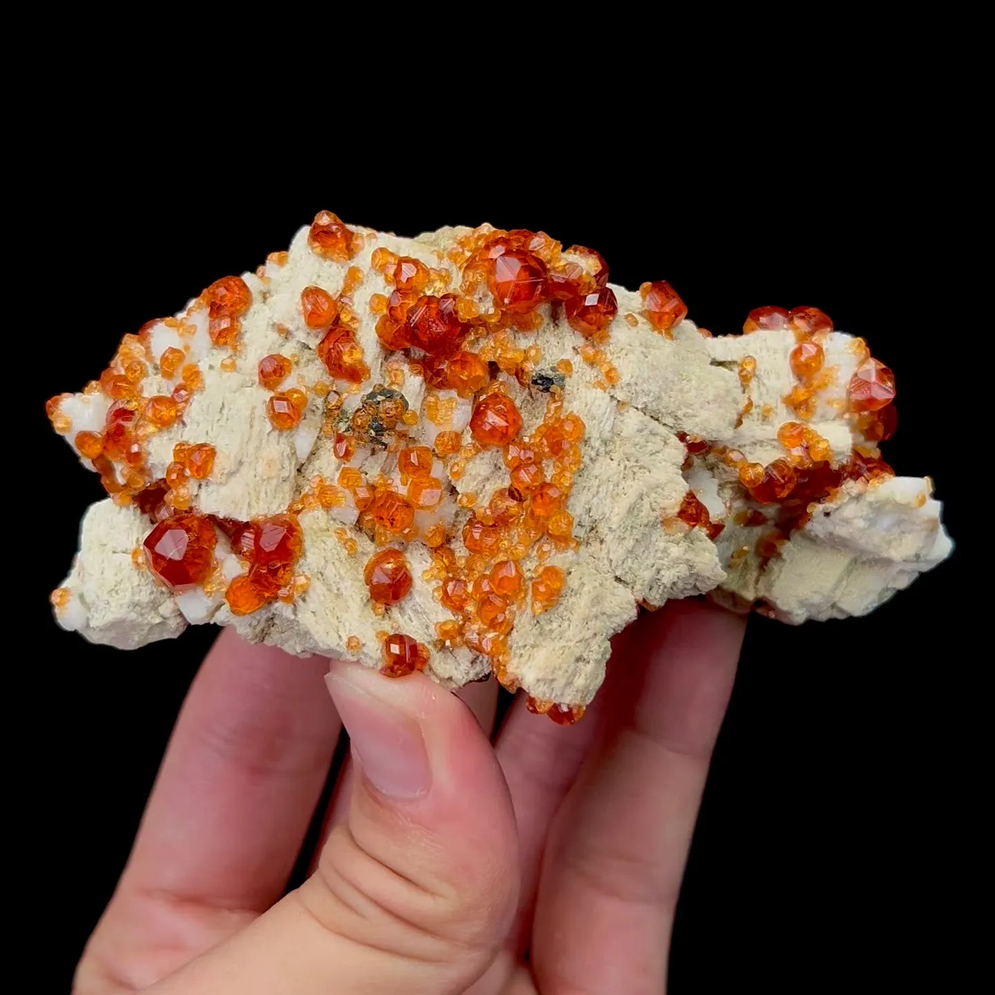 specimen video
