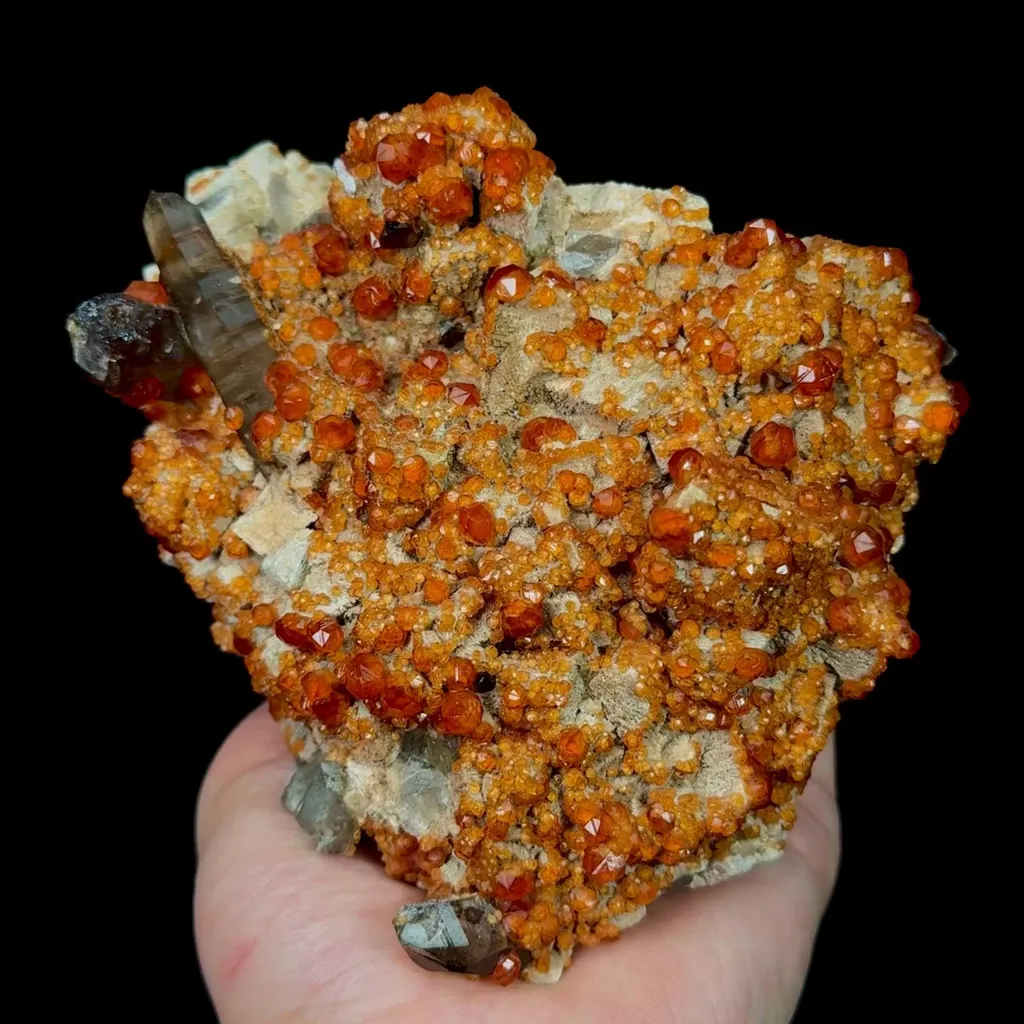 specimen video