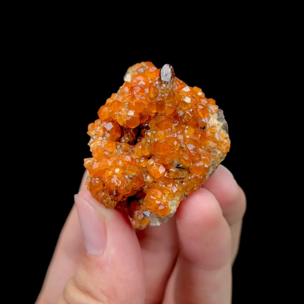 specimen video