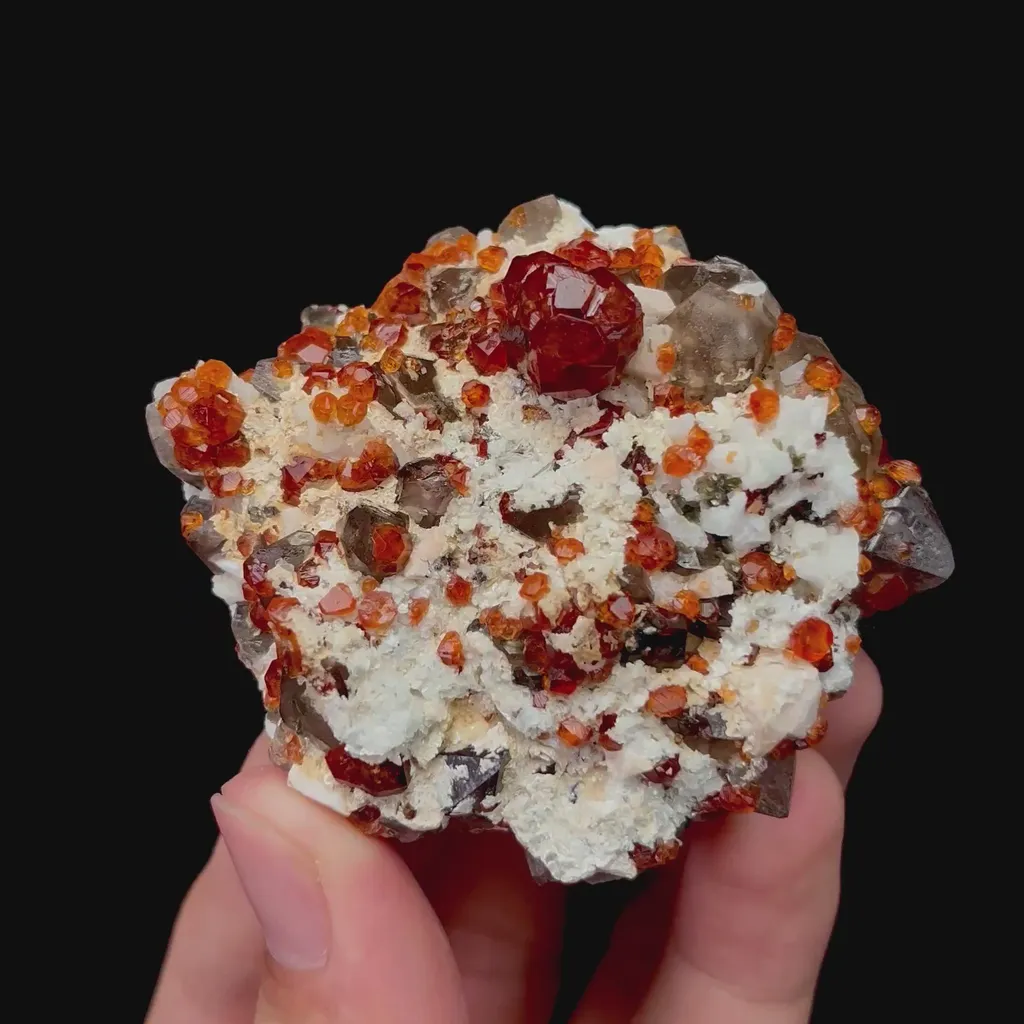specimen video