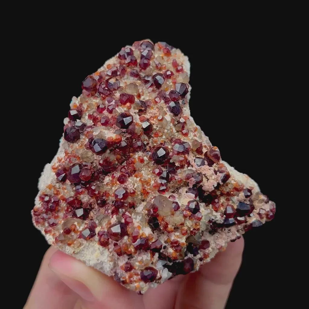 specimen video