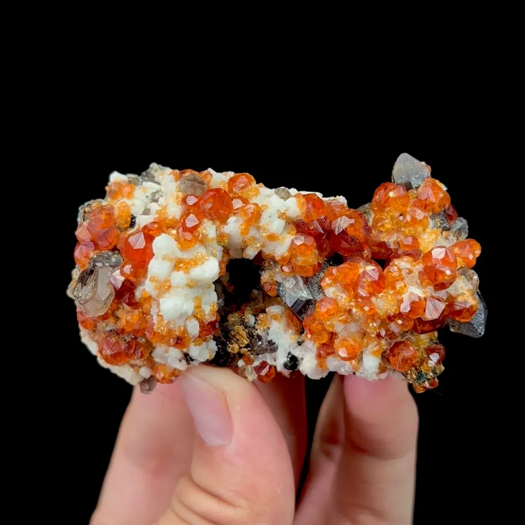 specimen video