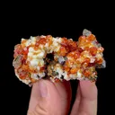 Natural Garnet Mineral Specimen,High Quality Specimen,YUNXIAO,FUJIAN,CHINA(74*41*24mm) - image 4