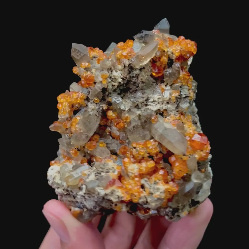 specimen video