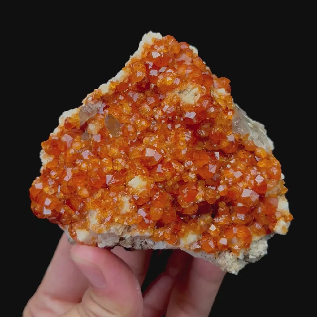 specimen video