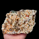 specimen video