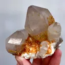 specimen video