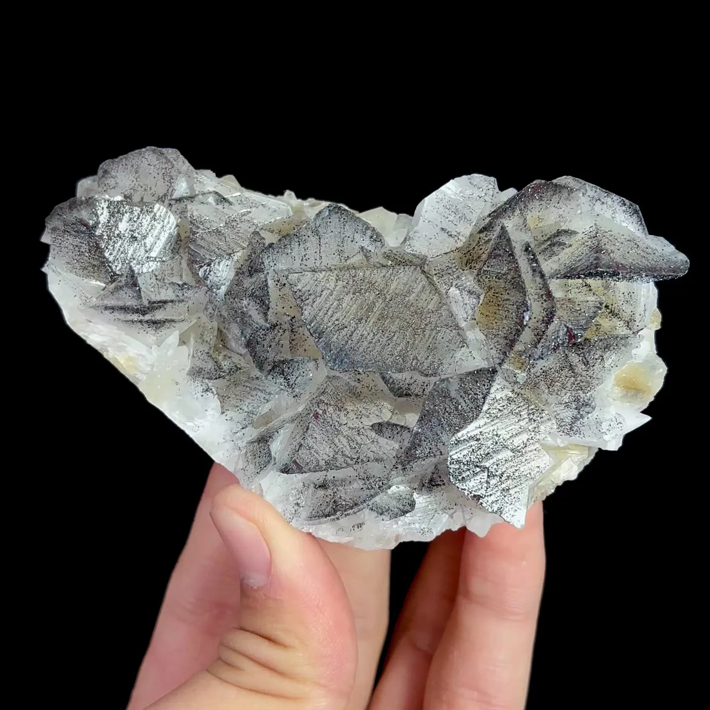 specimen video