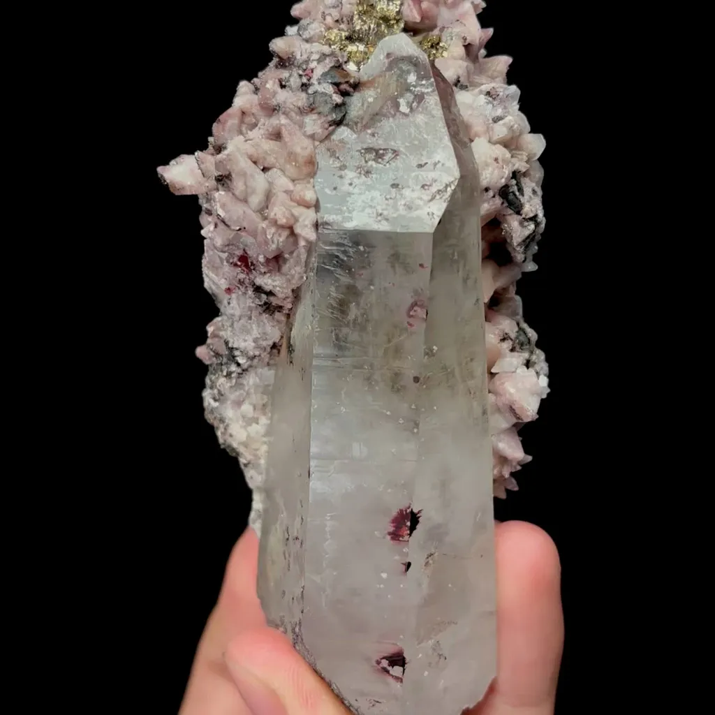 specimen video