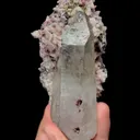 specimen video
