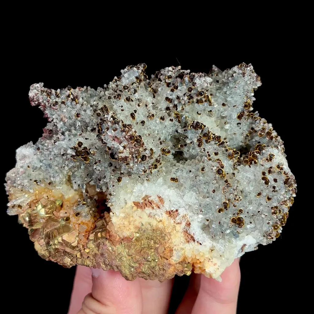 specimen video