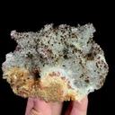 specimen video