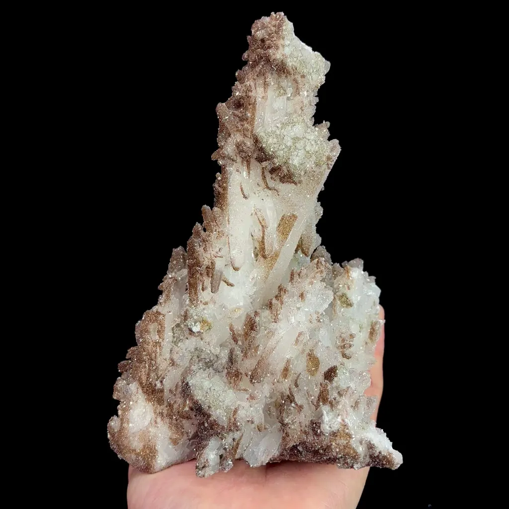 specimen video