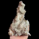 specimen video