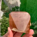 specimen video