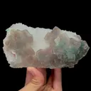 specimen video