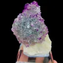 specimen video