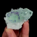 specimen video