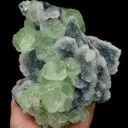 specimen video