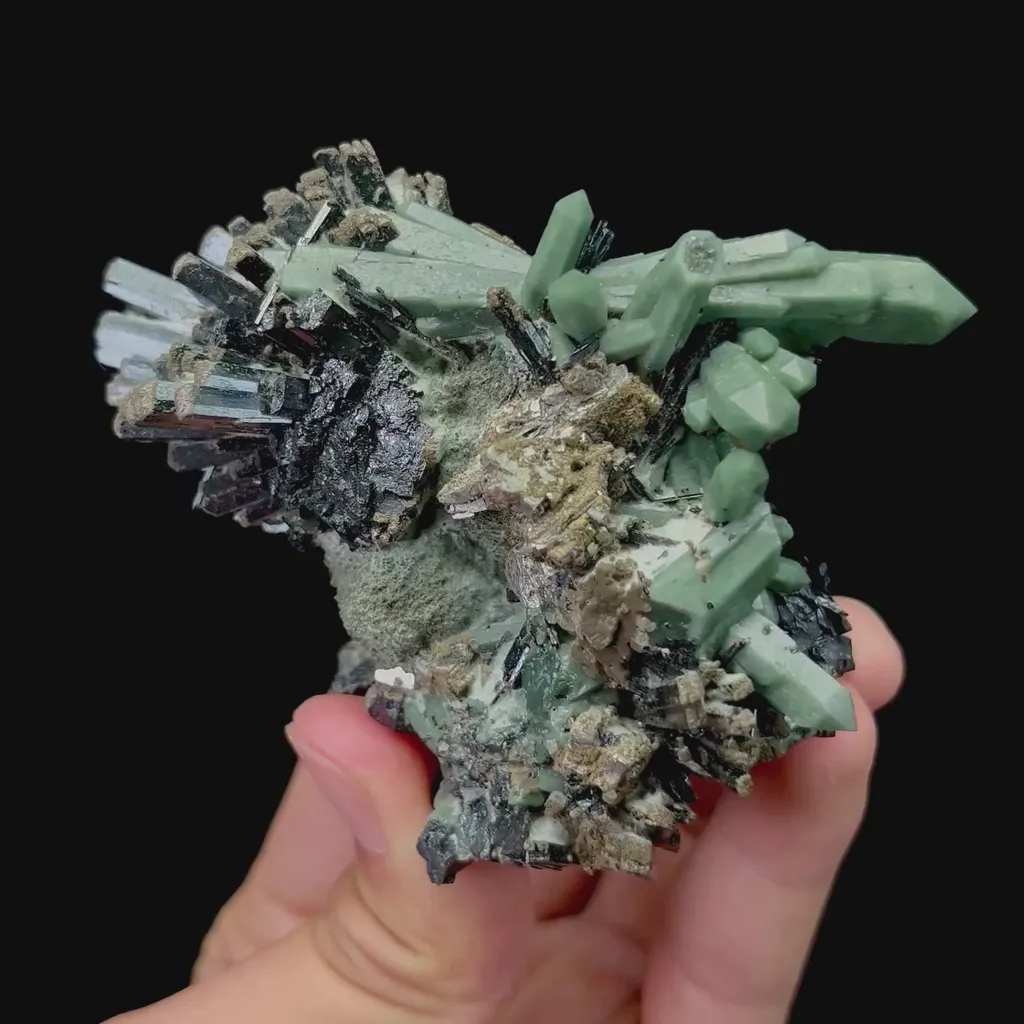 specimen video