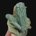 specimen video
