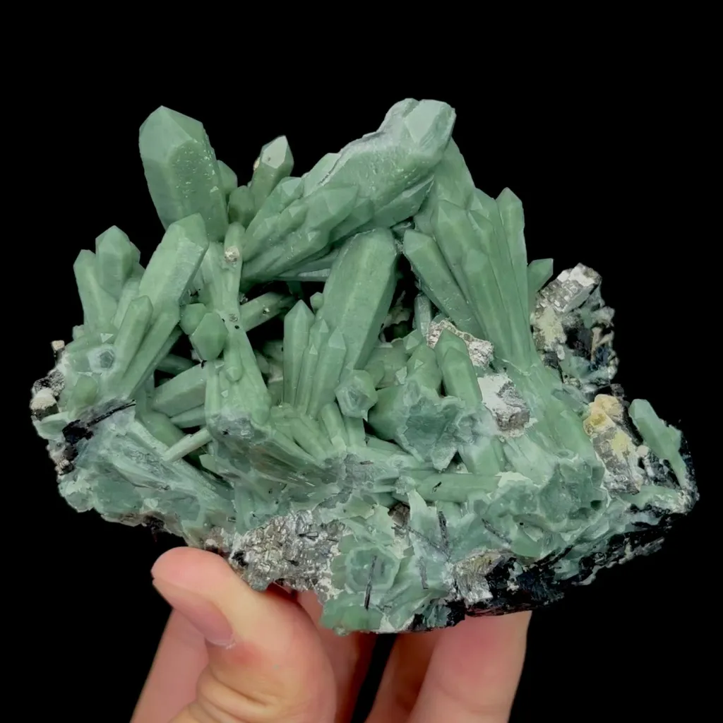 specimen video