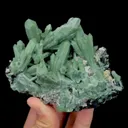 specimen video