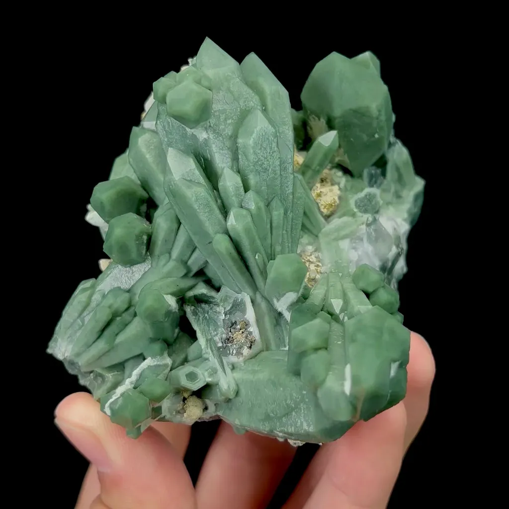 specimen video
