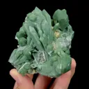 specimen video