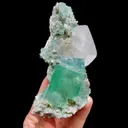 specimen video