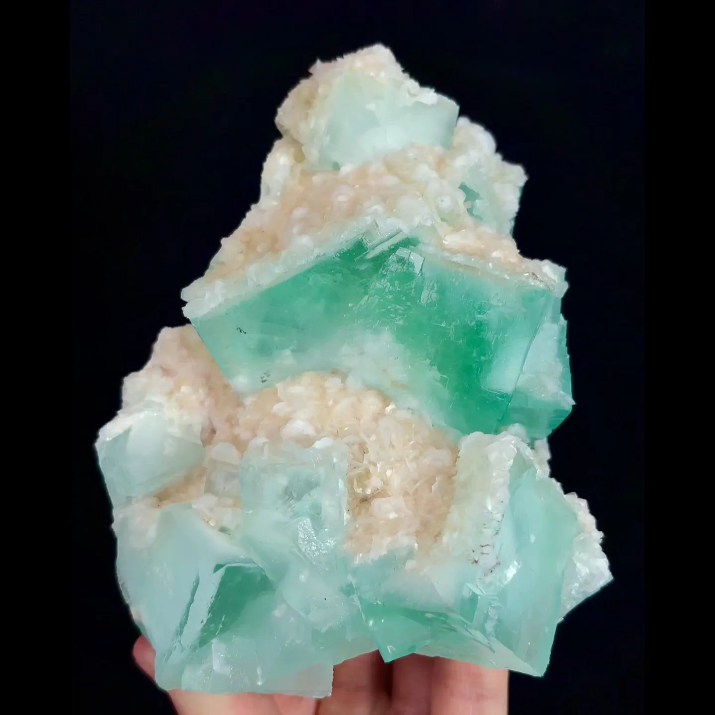 specimen video