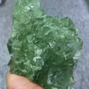 specimen video