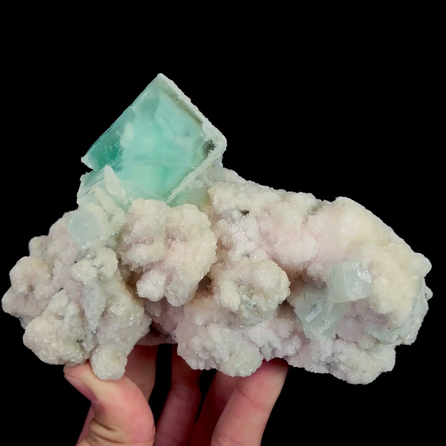 specimen video