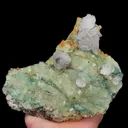 specimen video