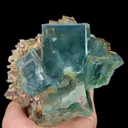 specimen video