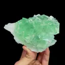 specimen video
