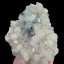 specimen video